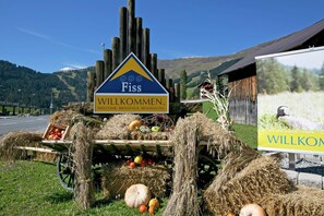 Miscellaneous - Apartment Hochgallmigg near Ski Slopes (Hochgallmigg)