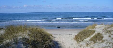 Spiaggia