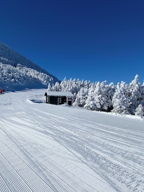 Snow and ski sports