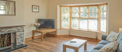 テレビ、テーブルサッカー台