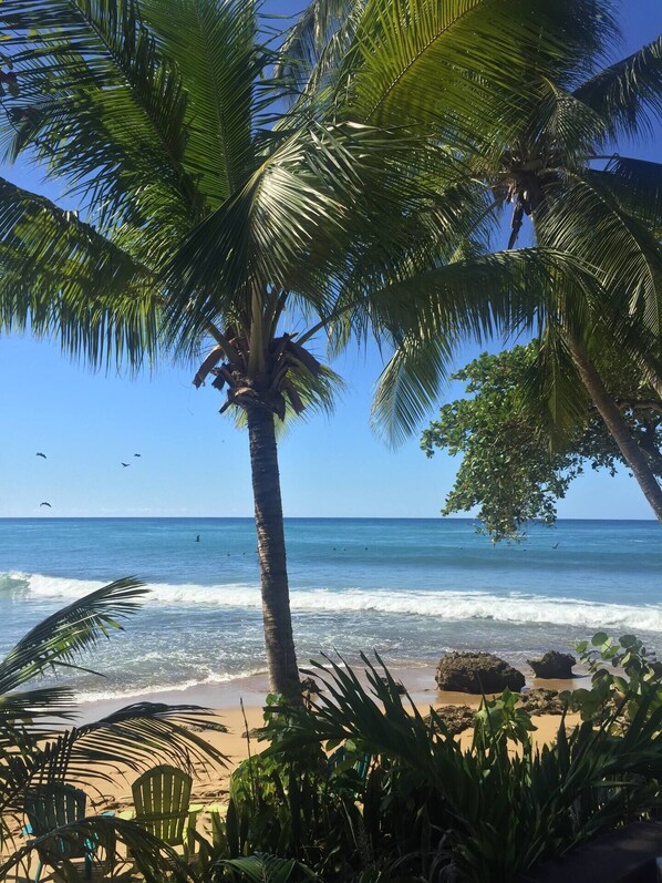 Enjoy a tranquil beach experience with gentle waves and a clear sky.