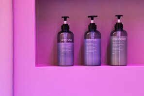 Assecador de cabells, tovalloles, sabó i xampú