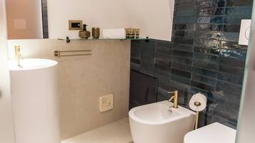 Regadera, secadora de cabello, bidet, toallas