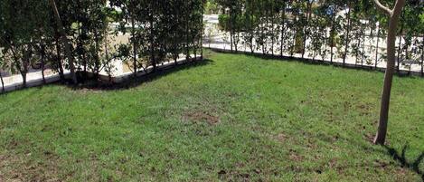 Área da propriedade