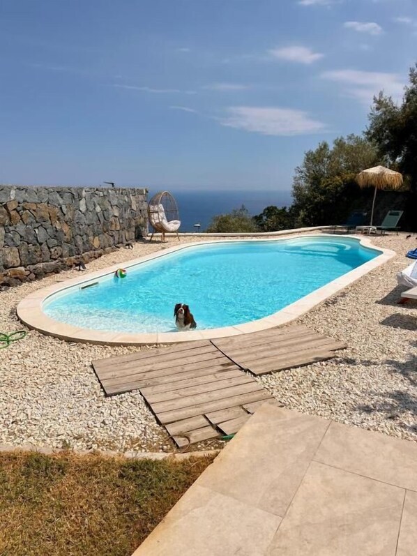 屋外プール、営業時間 9:00 ~ 18:00、サンラウンジャー