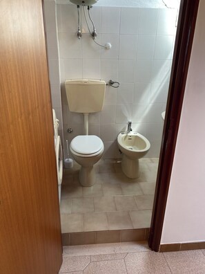 Suihku, hiustenkuivaaja, bidee, pyyhkeet