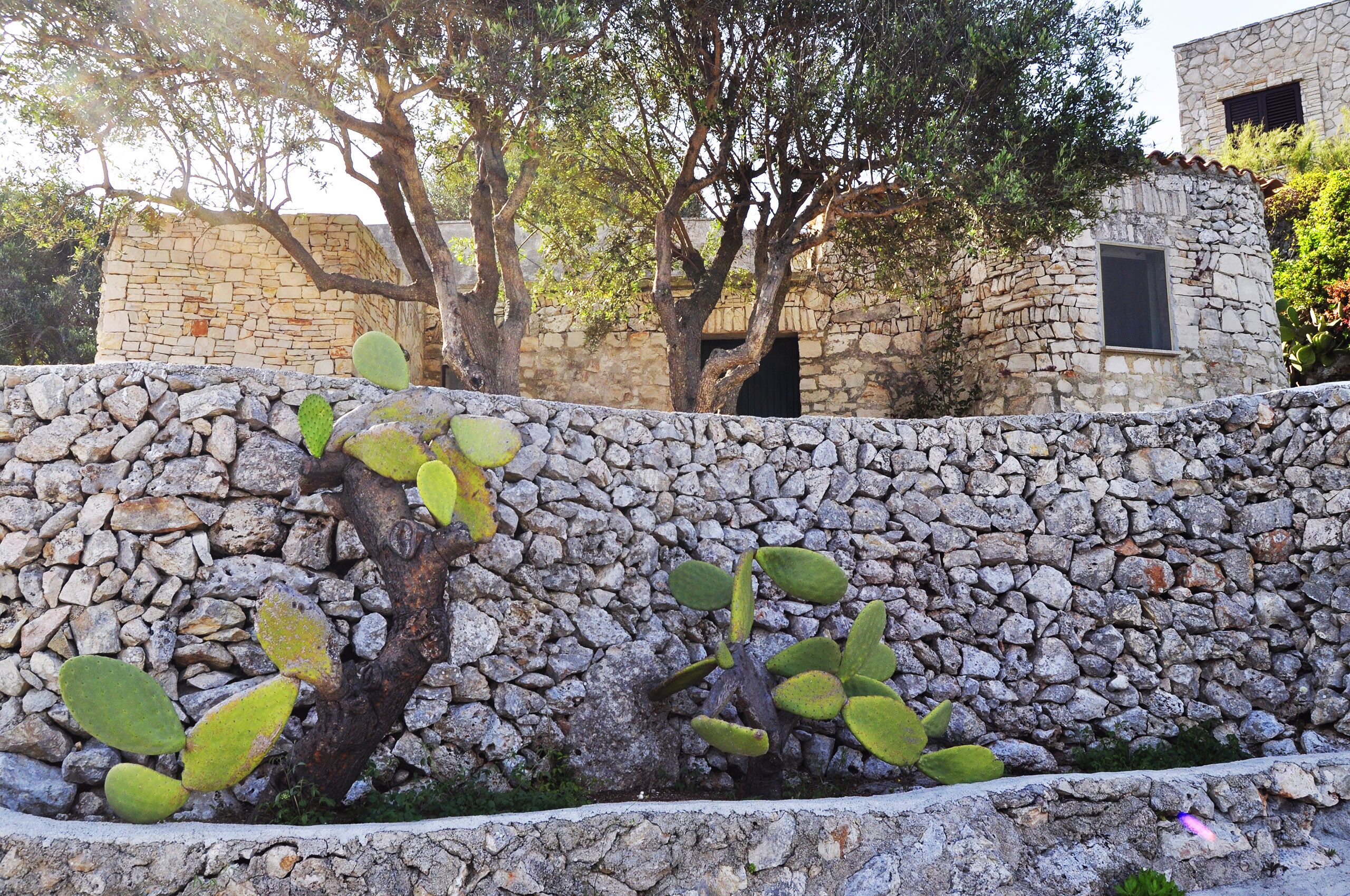 A stone wall with a cactus plant in front of a building with a stone facade and a window.