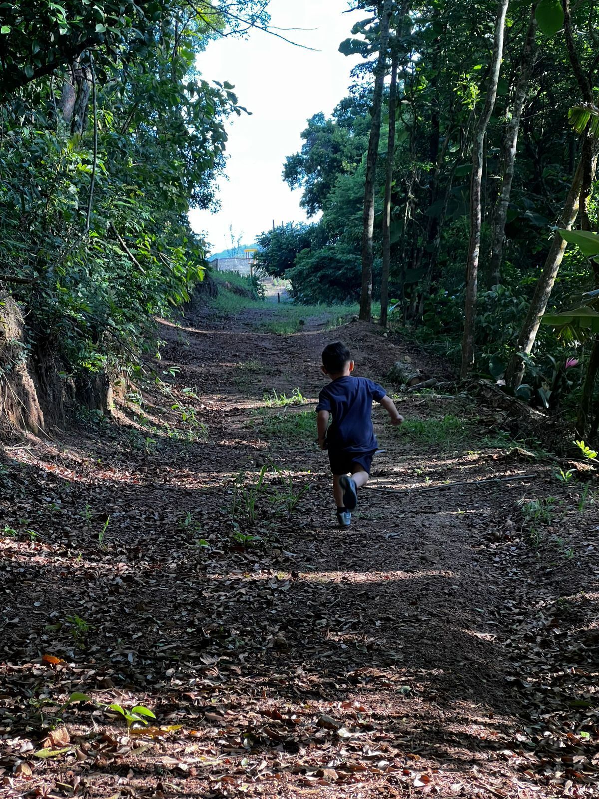 Uma criança correndo por uma trilha de terra em uma área arborizada.