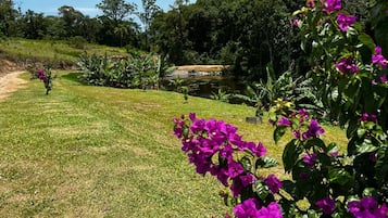 Estúdio luxo, vista para a montanha | Terraço/pátio