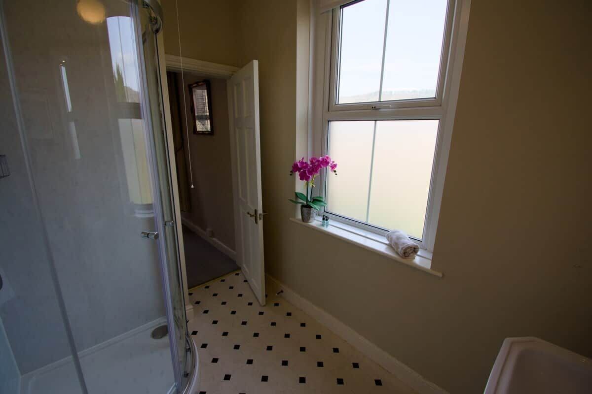 Un baño con ducha, una ventana con planta y una toalla en el alféizar.