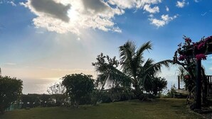 A grassy outdoor area with palm trees and a wooden structure with pink flowers. - Bounty Lodge - Private spa and view (Punaauia)