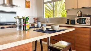 A modern kitchen with a central island, stainless steel appliances, and a view of palm trees through the window. - Bounty Lodge - Private spa and view (Punaauia)