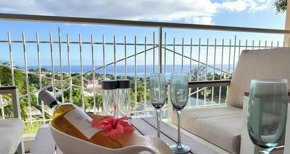 Suite Turoa - View, pool and wifi