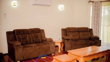 TV connectée, cheminée, livres, chaßne hi-fi