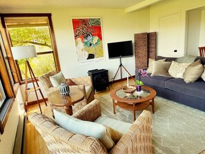 TV, DVD-spiller og bøker