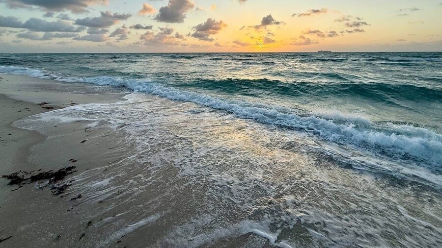 Bahama Beach Club Pompano