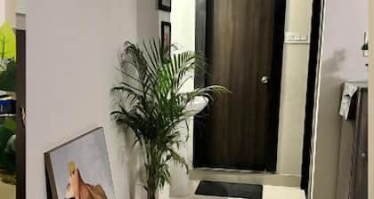 Superb cosy apartment with WiFi in Siliguri. Fur buddies are welcome.