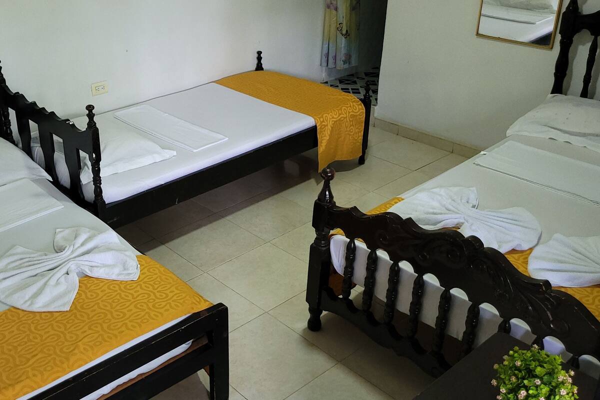 A hotel room with two single beds, each with a yellow bedspread and white linens. There is a small table with a plant in the corner.