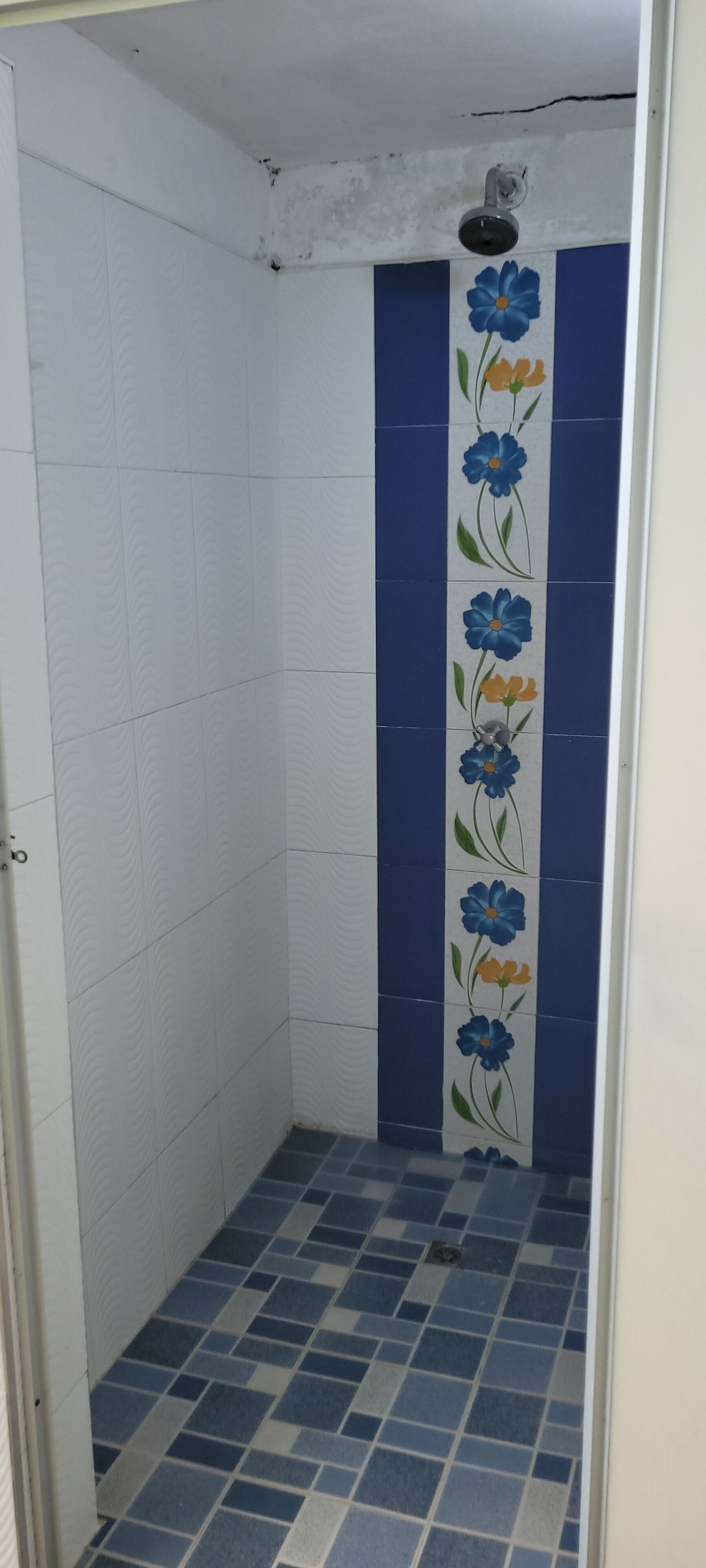 A bathroom with white walls, blue and white patterned tiles, and a floral design on the wall.