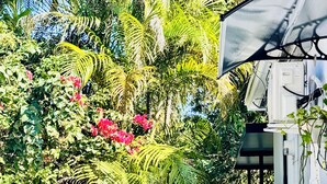 A patio area with a red grill, wicker chairs, and lush greenery including palm trees and flowering plants. - Miami North Beach Guesthouse (North Miami Beach)