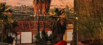 Palacio De Godoy Caceres, Curio Collection By Hilton