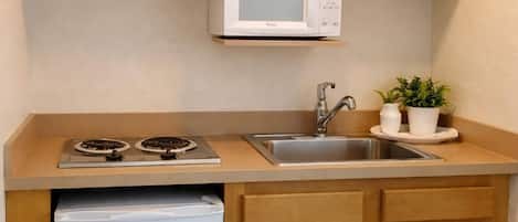 Full-sized fridge, microwave, freezer, ice maker