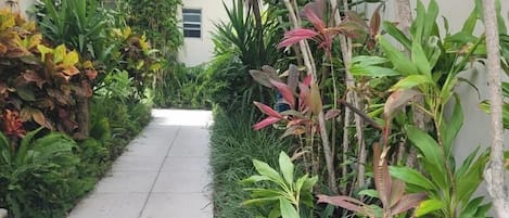 Suite estudio clásica | Terraza o patio