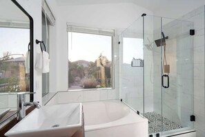 Shower, hair dryer, shampoo