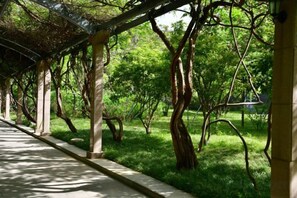 Un paseo techado con columnas, rodeado de árboles y follaje.