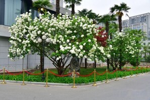 A tree with white blossoms in front of a modern building. - Grand Shaanxi Hotel (Xi'an)