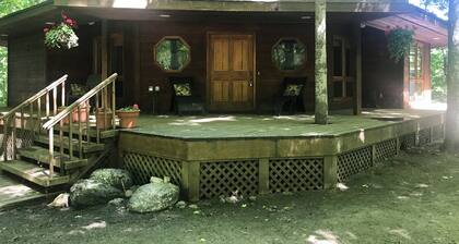 Cozy Harbor Springs Retreat- minutes from Skiing & Golf!