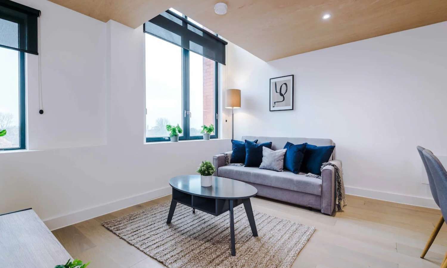 Smart TV, offices