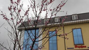 Um edifício com fachada amarela, grandes janelas e uma placa com a inscrição "Cupija".