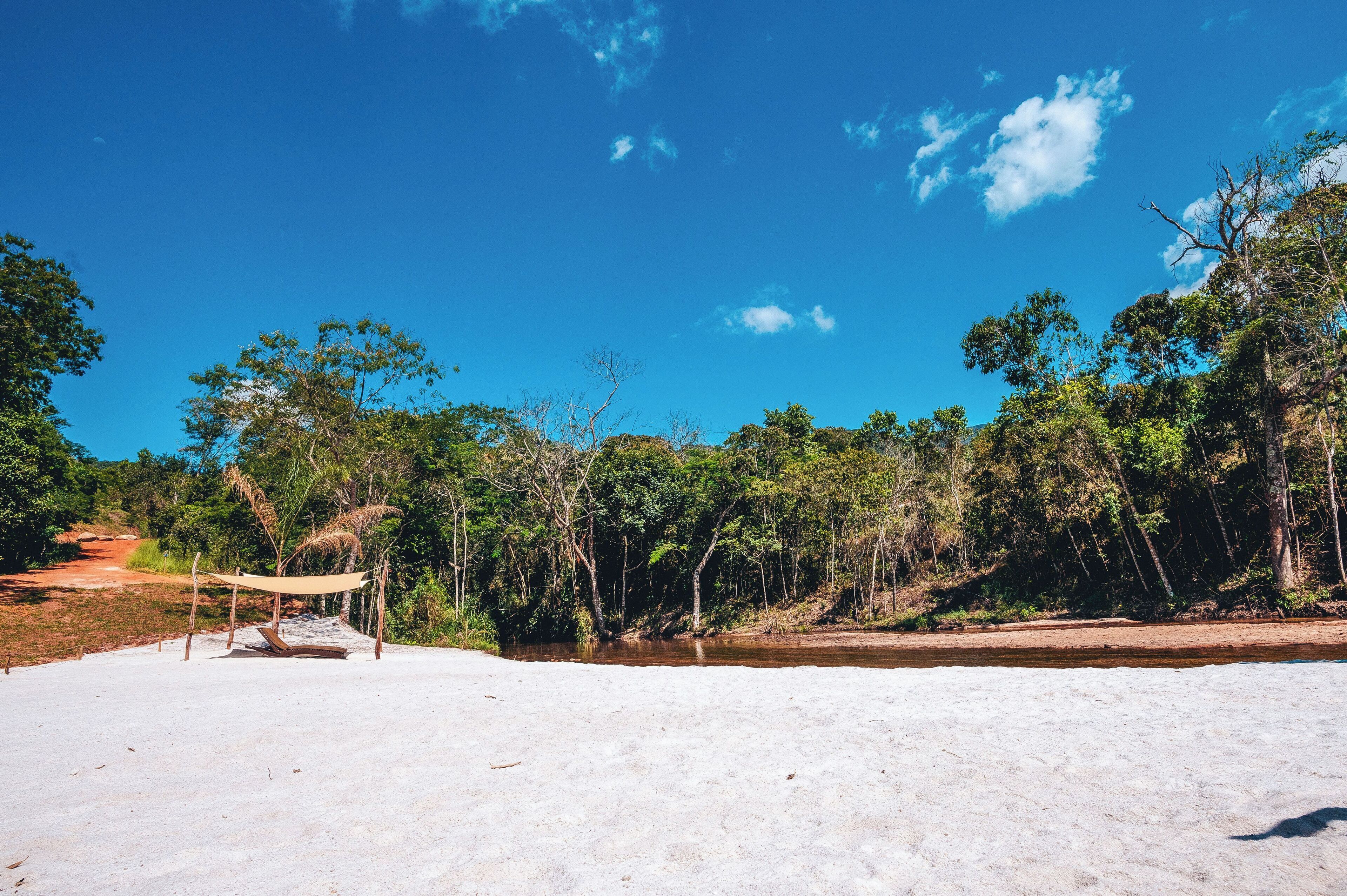A beach with a hammock and a sandy area.