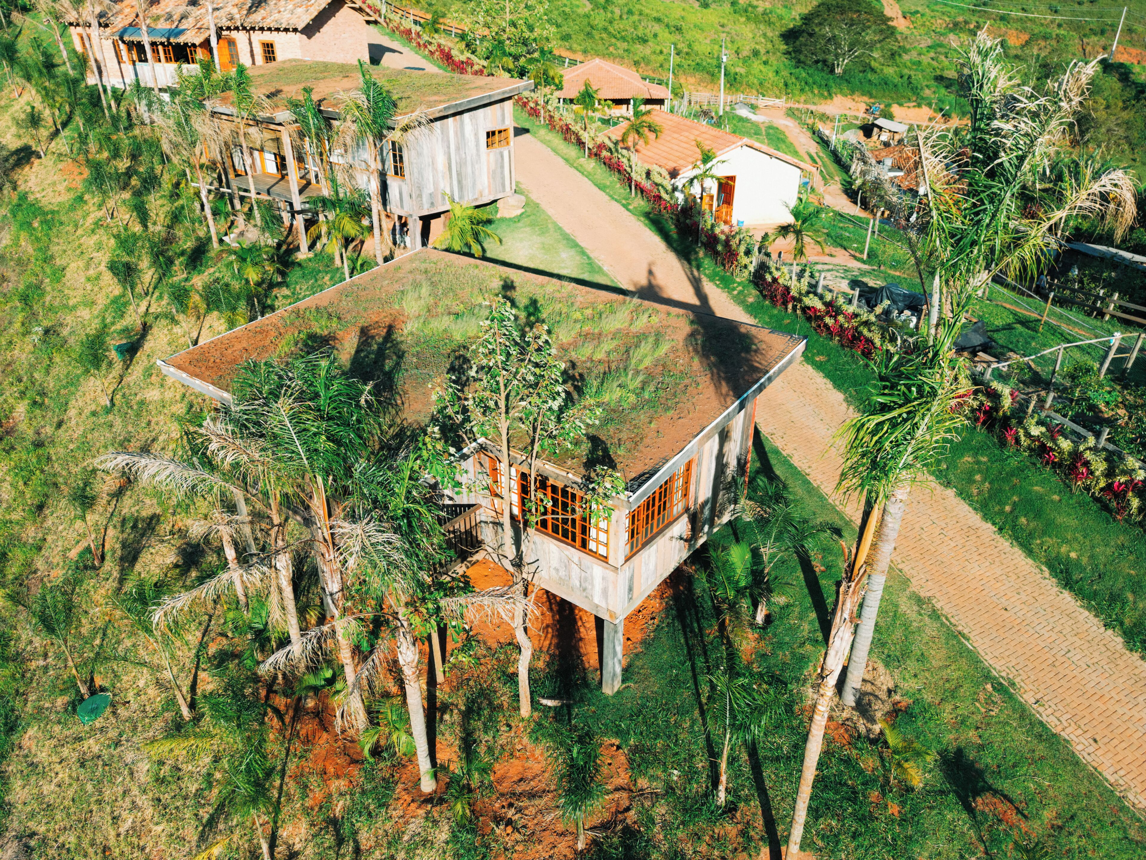 A large, modern house with a flat roof, surrounded by lush greenery and palm trees.