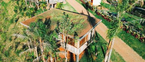 A large, modern house with a flat roof, surrounded by lush greenery and palm trees.