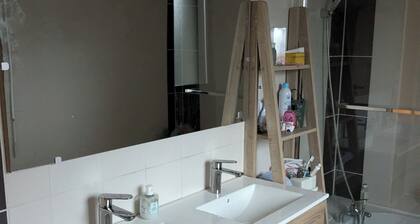 Chambre chez l'habitant, quartier paisible à proximité de Rennes et Aéroport