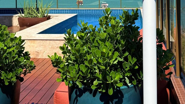 Unclassified image, 1 of 41, button - Holanda Gold Hotel Praia de Tambaú (João Pessoa)