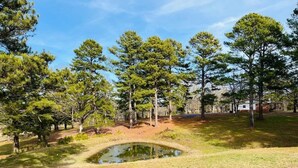 Un paysage naturel avec un étang, des arbres et un bâtiment en arrière-plan.