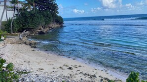 Ein Strand mit klarem Wasser, felsigem Ufer und dichter Vegetation.