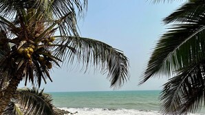 Una playa con palmeras, olas del océano y gente caminando.