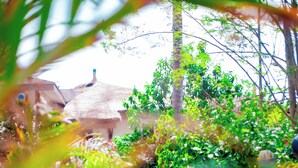 A pathway through a lush garden with a thatched-roof building in the background. - Oasis Beach Resort (Cape Coast)