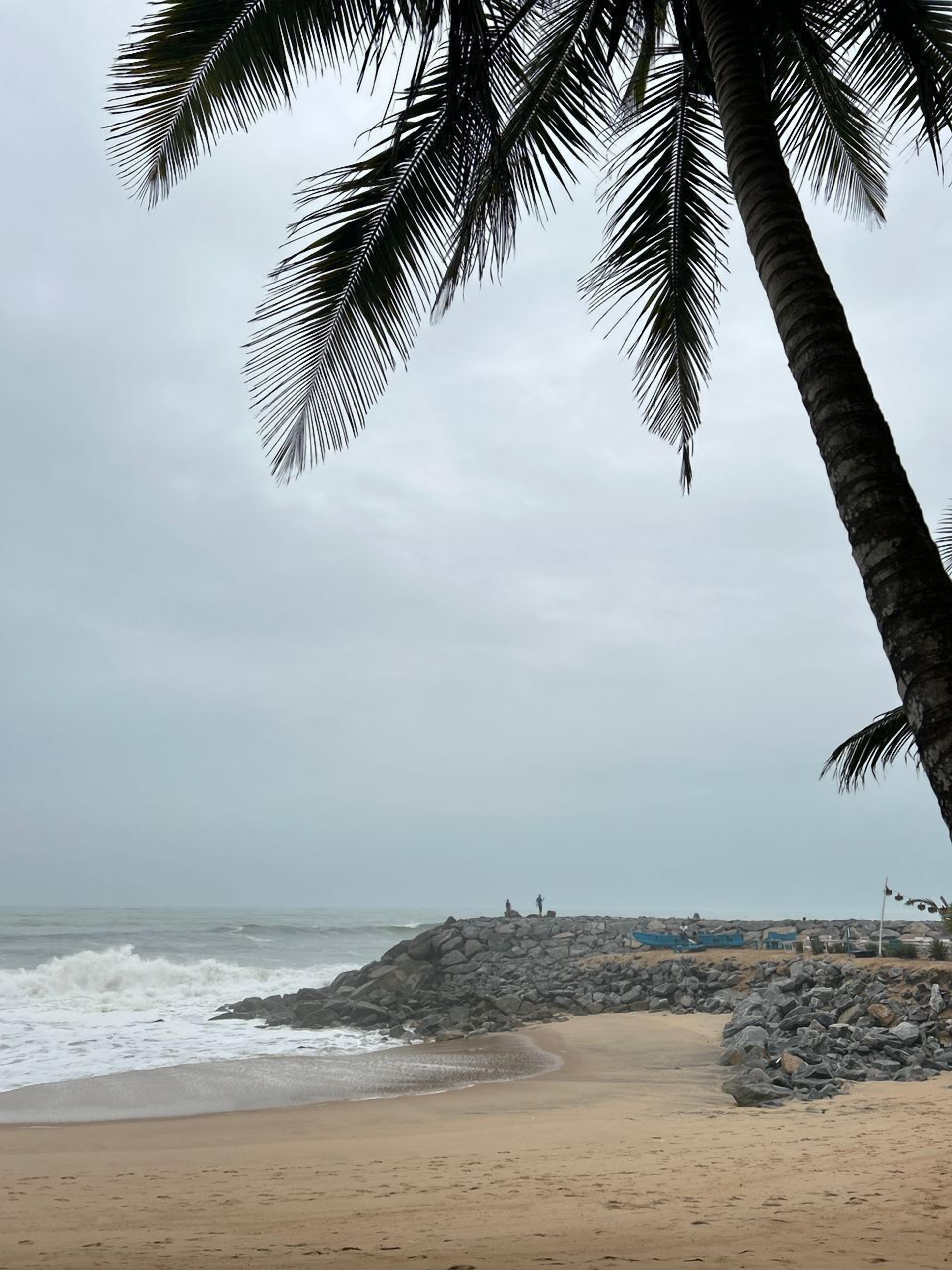Una playa con costa rocosa, palmeras y cielo nublado.