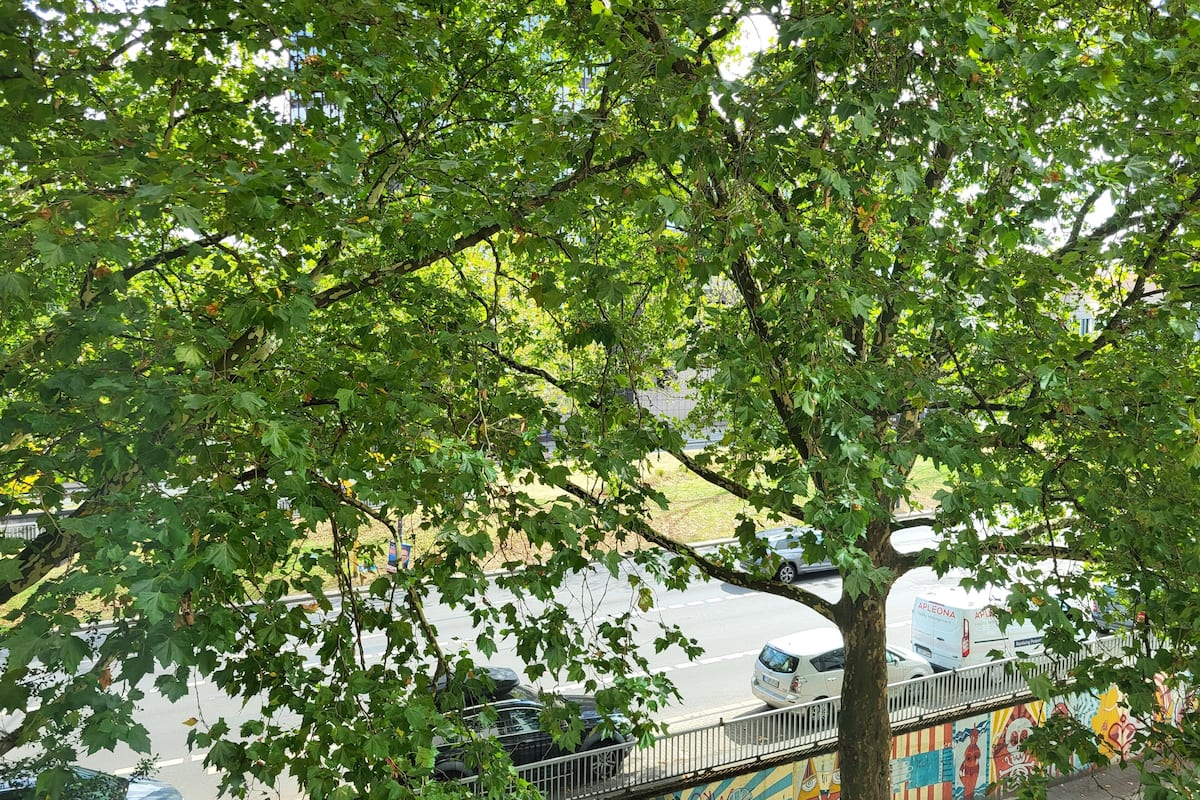 Vista desde la habitación