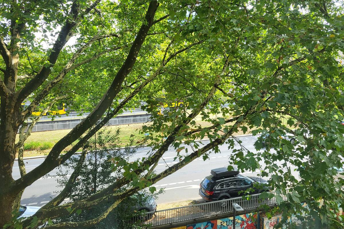 Una calle bordeada de árboles con un coche estacionado y un autobús amarillo al fondo.