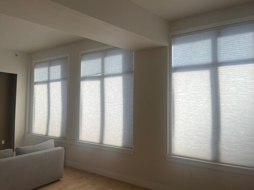 Charming 1-bedroom condo in enchanting Oakland with WiFi