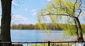 Une vue sur le lac, avec un arbre et une rambarde.