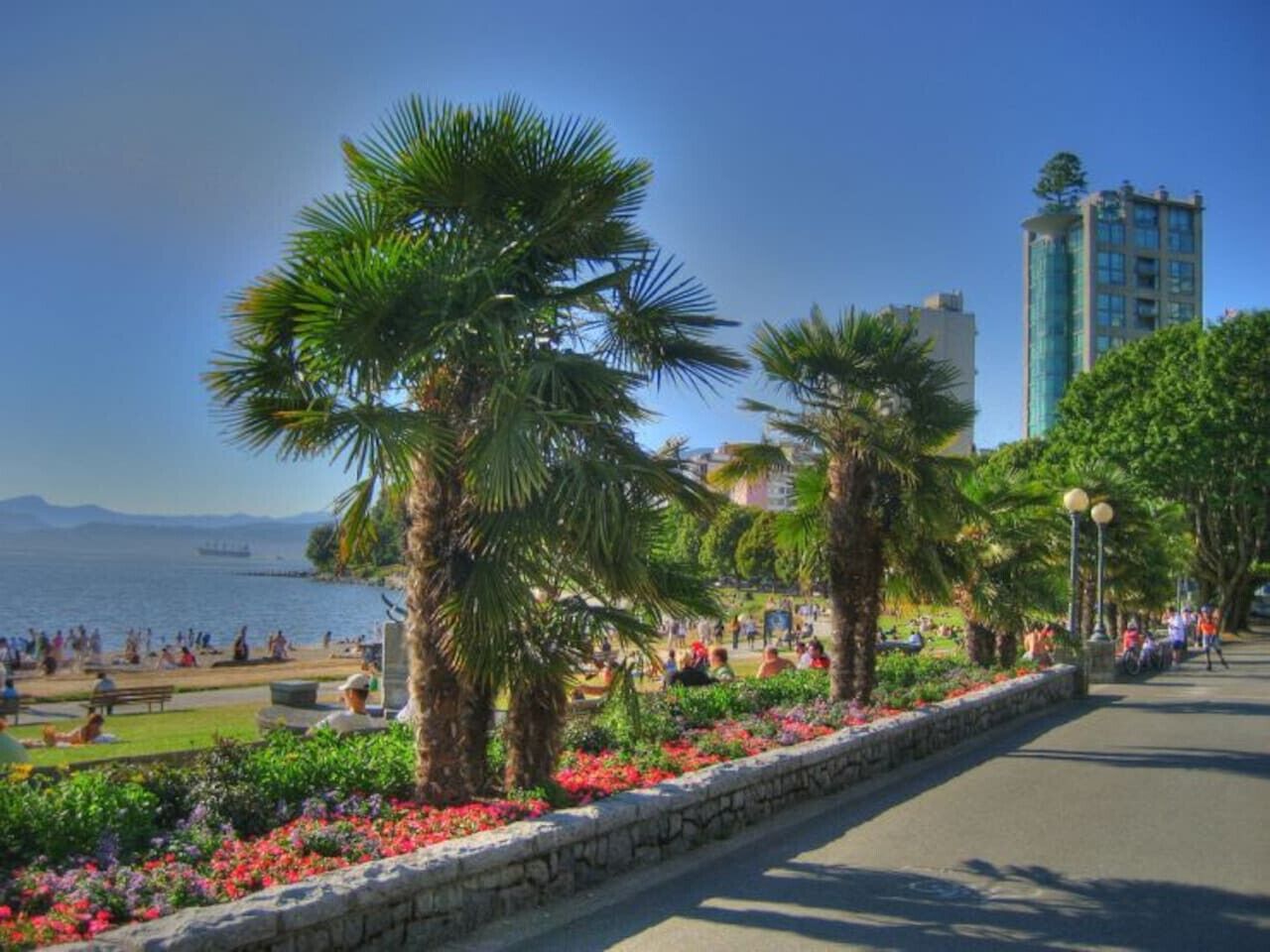 Un paseo marítimo con palmeras, un muro de piedra y vista al mar.