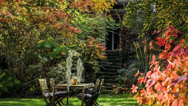 A garden with a wooden table and chairs, surrounded by lush greenery and autumn foliage. - The Hide (Ghent)