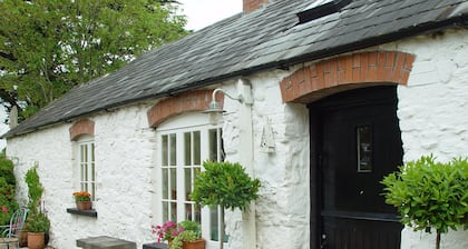 Charming Pair of Irish Cottages in enchanting Adare Countryside